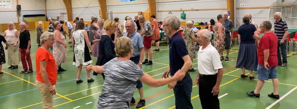 Vipperød og omegns Folkedanserforening image